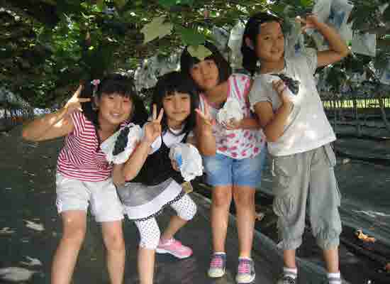 Yang-do_Po-do-che-heam-koan-lyeon-sa-jin