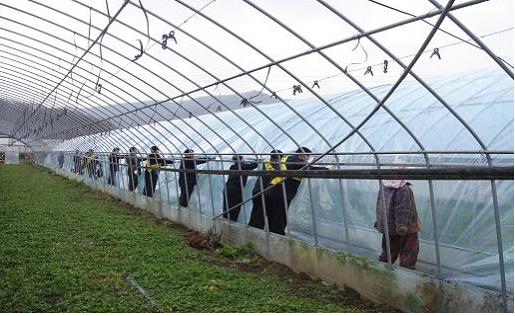 0119_Jae-nan-dae-bi-hoal-dong_2