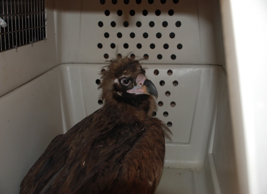 0205_Koo-jo-doen-dok-soo-li