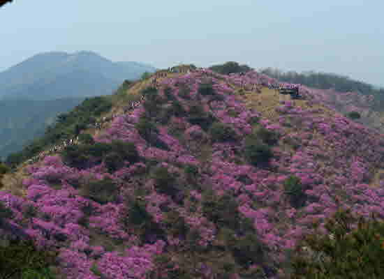 0213_Ko-lyeo-san-dung-san-lo-jeang-bi