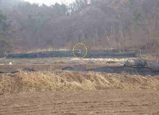 0224_Oo-li-e_Kak-hin_Ya-saeng-ko-la-ni