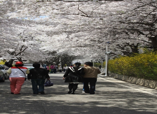 0409_Book-san-bead-ggod-kil