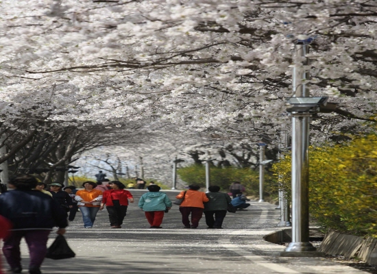 0409_Book-san-bead-ggod3