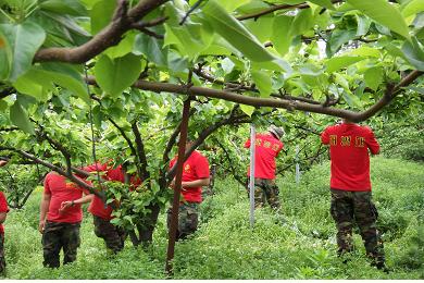 0525_Hae-byeong-dae-uean-dul-i_Bae-na-moo_Bak-e-sea_Il-son-dob-ki-lul_Ha-ko-id-da