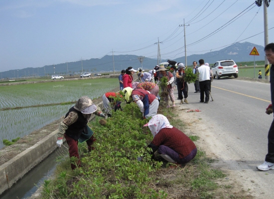 0526_Yeon-san-hong_Sik-jae_Sa-jin