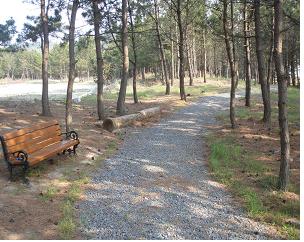 0601_Dae-bin-chang_Sol-bak-kil