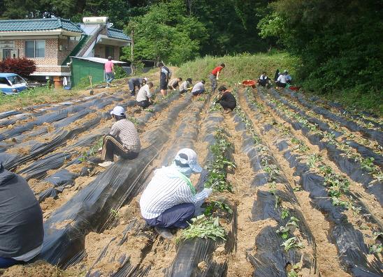 0603_Ko-koo-ma-sik-jae-haeng-sa