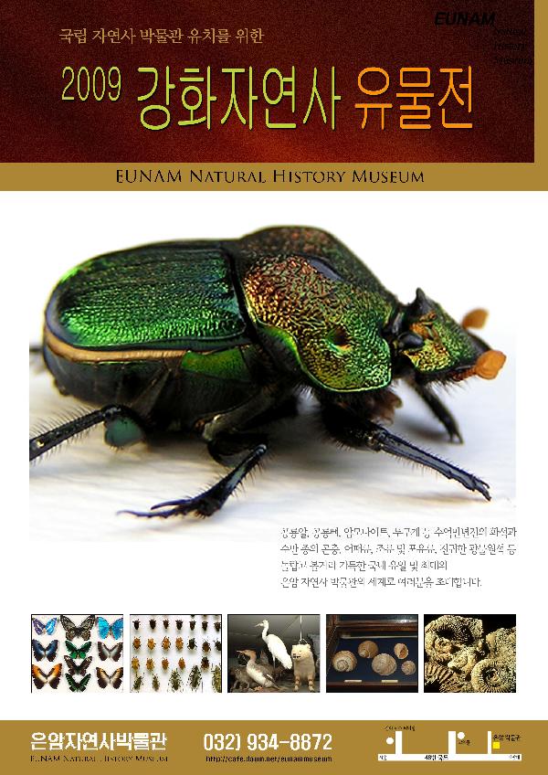 1113_강화유물전전단지뒷면jpg