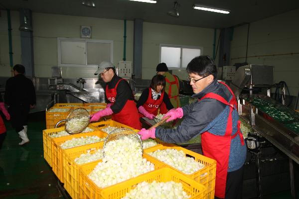 1130_사랑의_김장김치