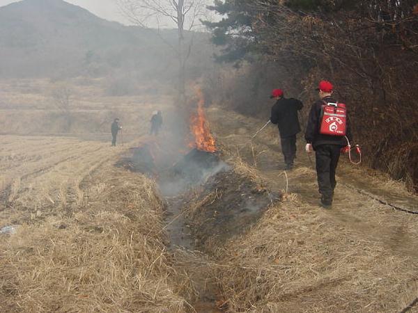 0309_산분진화대가_산림연접지에서_산불예방_소화를하고_있다