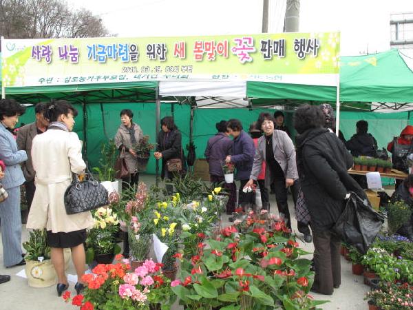 0323_꽃전시회_및_판매