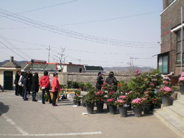 0329_교동면주부대학_꽃판매