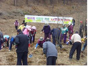 0406_양사면_나무심기행사