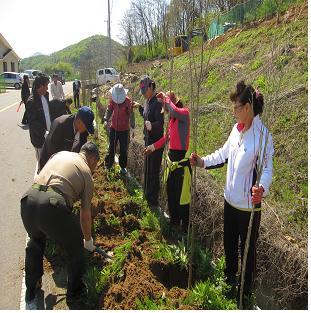 0511_삼산면_나무심기