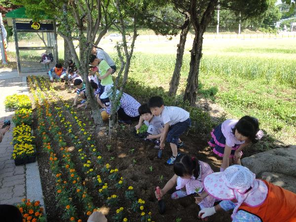 0609_선원초등학교_학생들봉사활동1