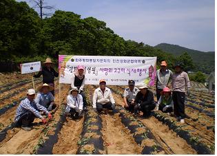0617_양사면_고구마심기