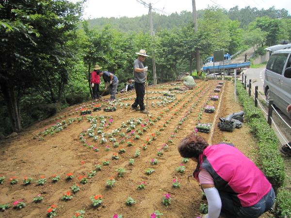 0623_아름다운강화