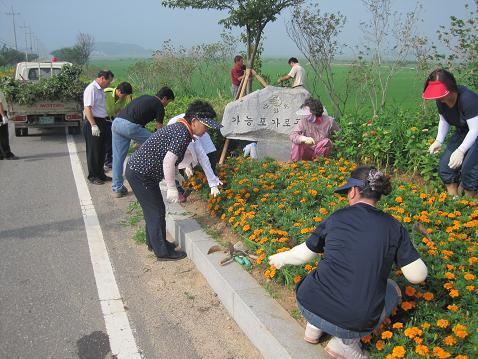 0707_양도면주민자치위_꽃밭가꾸기