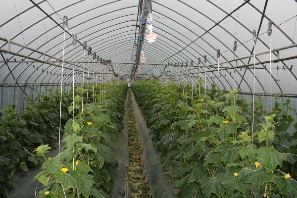 0512_고소득작목_전환