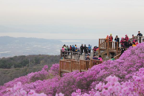 0513_진달래_예술제_사진_1