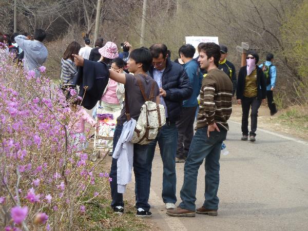 0513_진달래_예술제_사진_2