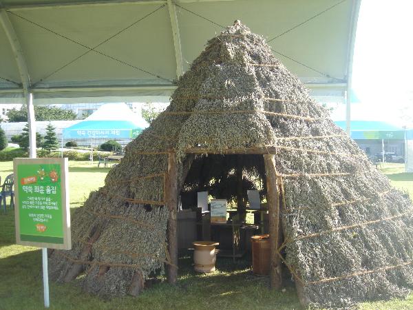 0520_약쑥좌훈움집