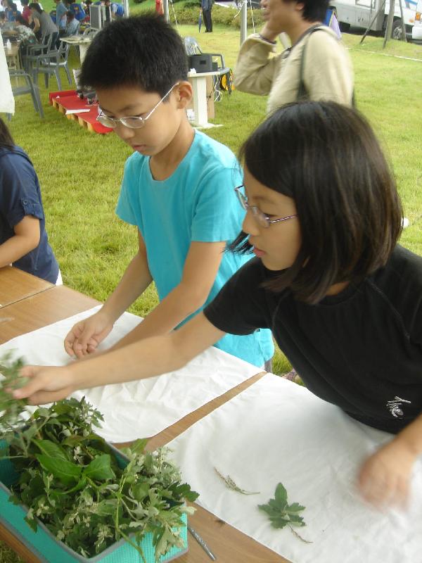 0530_약쑥축제_행사_1