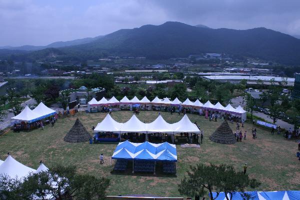 0608_약쑥축제_사진_1