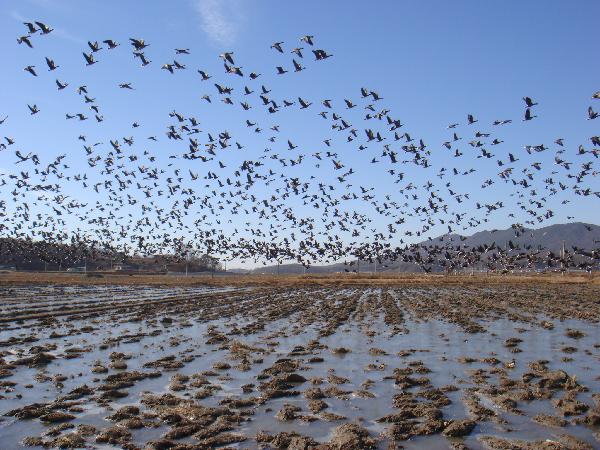 0714_생물다양성_사진