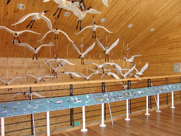 0811_갯벌센터_내부_전경