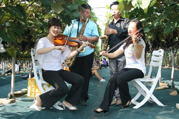 0909_양도_포도_현악연주