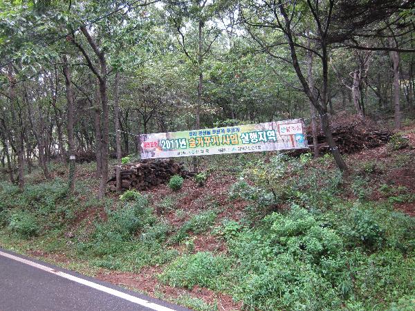0915_숲_가꾸기_사업(1차)