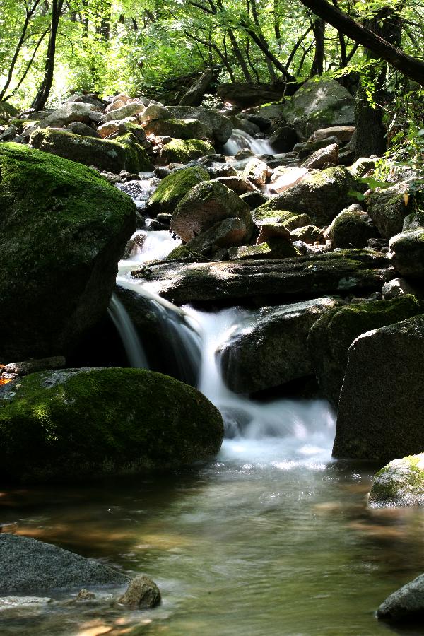 1021_관광지_이벤트(함허동천_계곡)_계곡