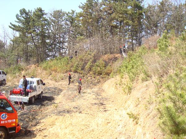 1101_강화군_산불방지_총력