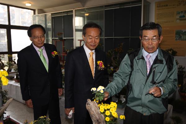 1103_강화국화전시회11