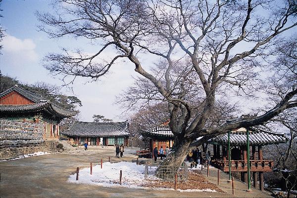 0222_강화군_전등사_전경