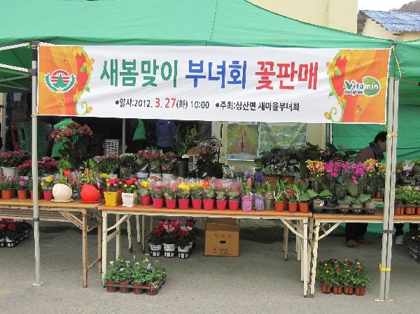 0328_삼산면_새마을_부녀회_꽃판매