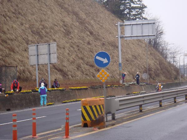 0402_강화군_봄꽃심는장면