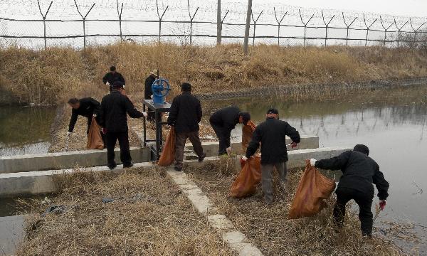 0402_교동면_대청소