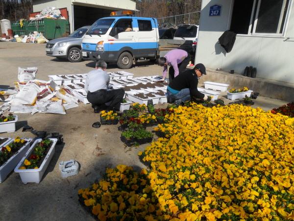 크기변환_0420_길상_꽃_심기