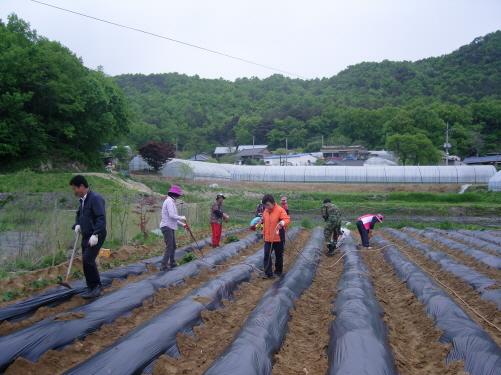 크기변환_0514_양사면_주민자치