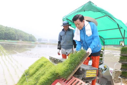 크기변환_0516_모내기