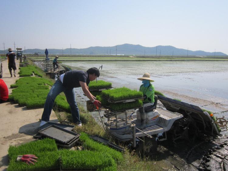 크기변환_0524_모내기_일손_돕기