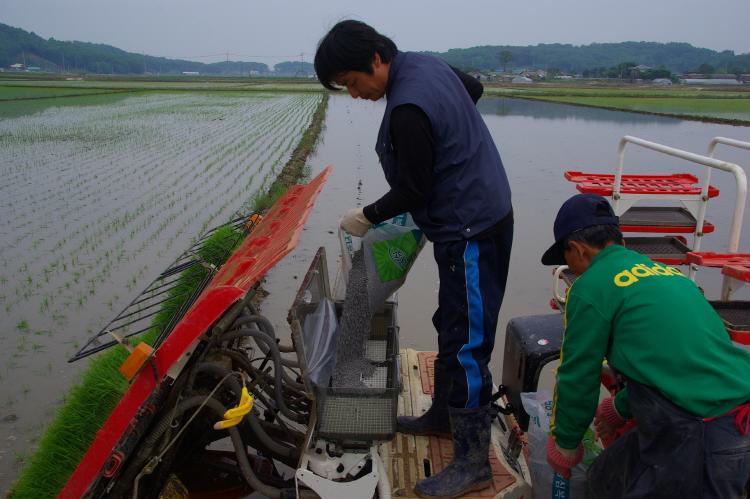 크기변환_0525_측조시비기