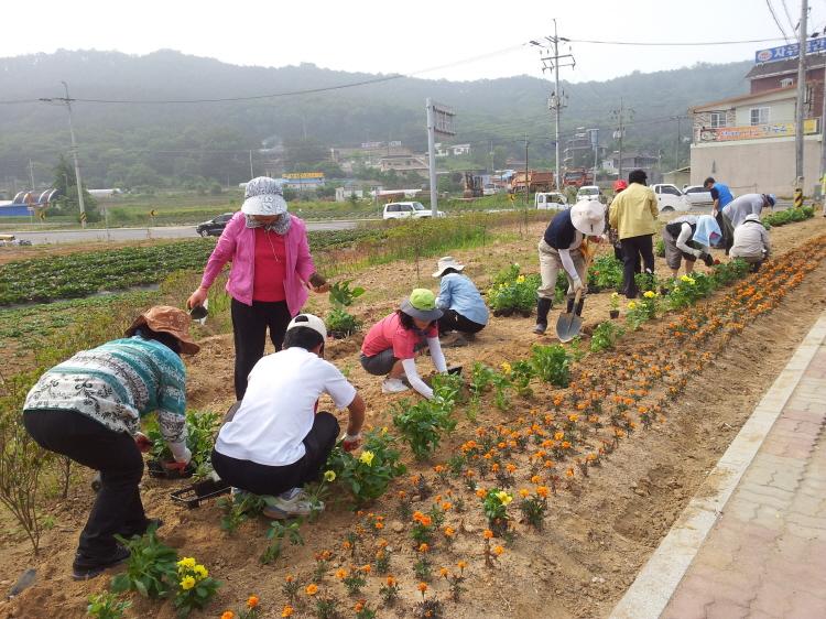 크기변환_0611_선원면_주민_자치_꽃길jpg