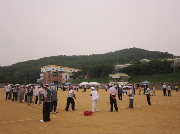 크기변환_0711_교동면_게이트볼_대회