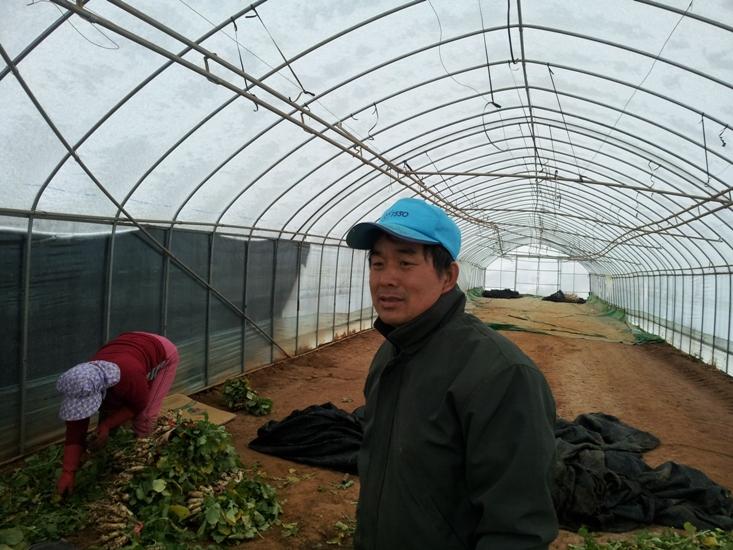 크기변환_1214_강소농_임호수