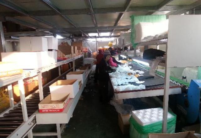 0122_강화섬배_대만수출1