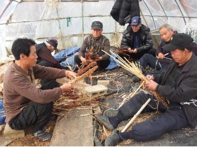 0122_양도면_경로당_여가활동