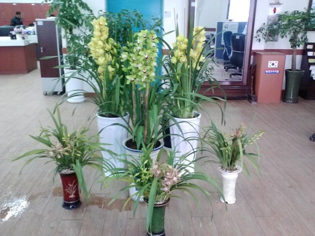 0128_하점면_난_기중